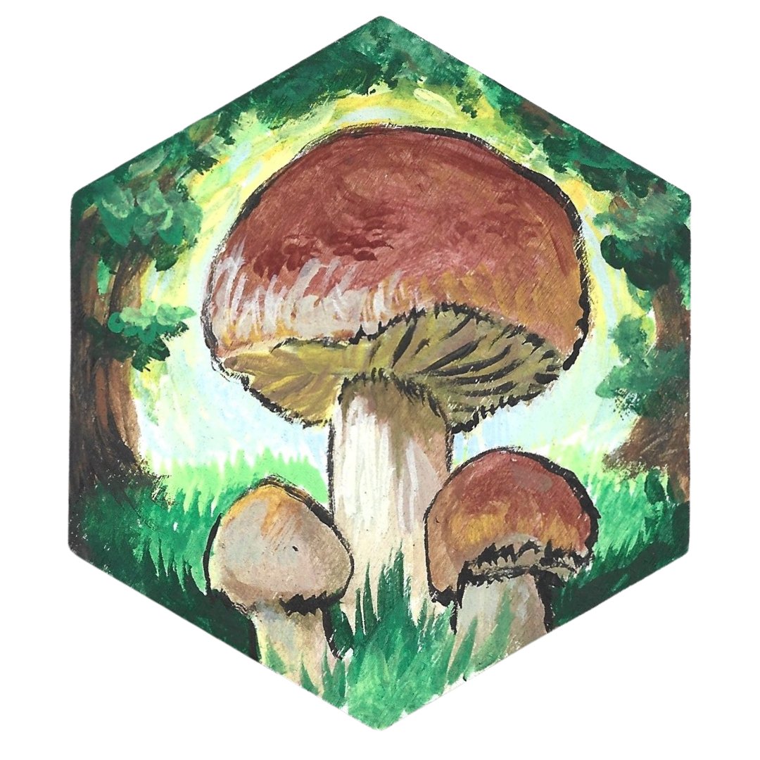 Mushrooms Magnet